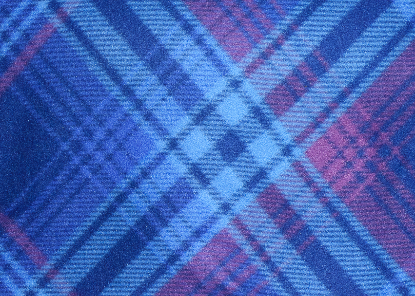 Blue and Purple Plaid | DSC_9492w.jpg