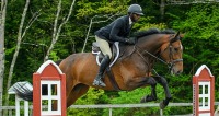 GMHA Spring Hunter Jumper Show