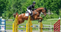 GMHA June Horse Trials