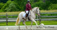 GMHA June Dressage Days