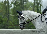 GMHA Festival of Eventing