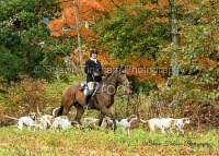 Landowners' Picnic & Blessing of the Hounds