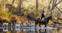 All New England Hunts Joint Meet