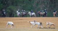 Nov 28 Thanksgiving Day Hunt